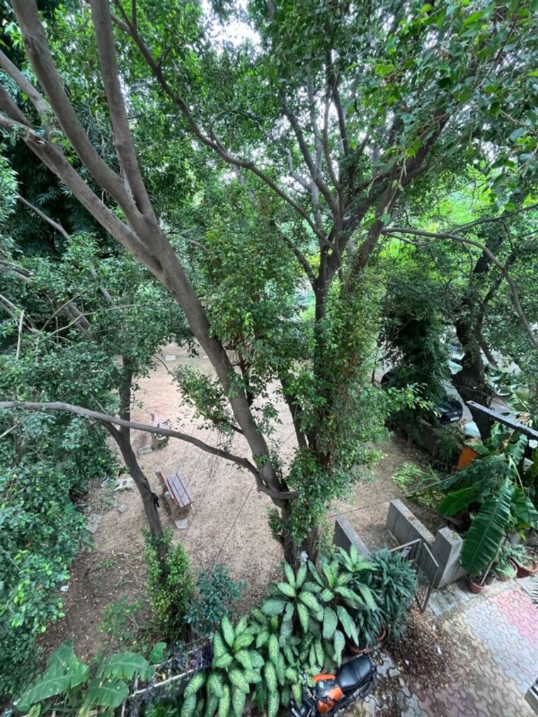 Garden, sheikh sarai 2 Bedroom 1200 Sq.Ft. Builder Floor In Sheikh Sarai Delhi 10715744