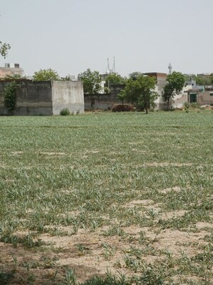  Plot – Exterior View View at Kanwara Village - for Sale