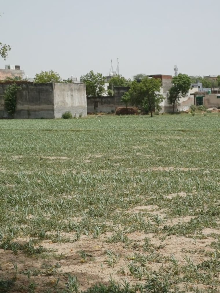 Exterior View, kanwara village  52 Sq.Yd. Plot In Kanwara Village Faridabad 10715800