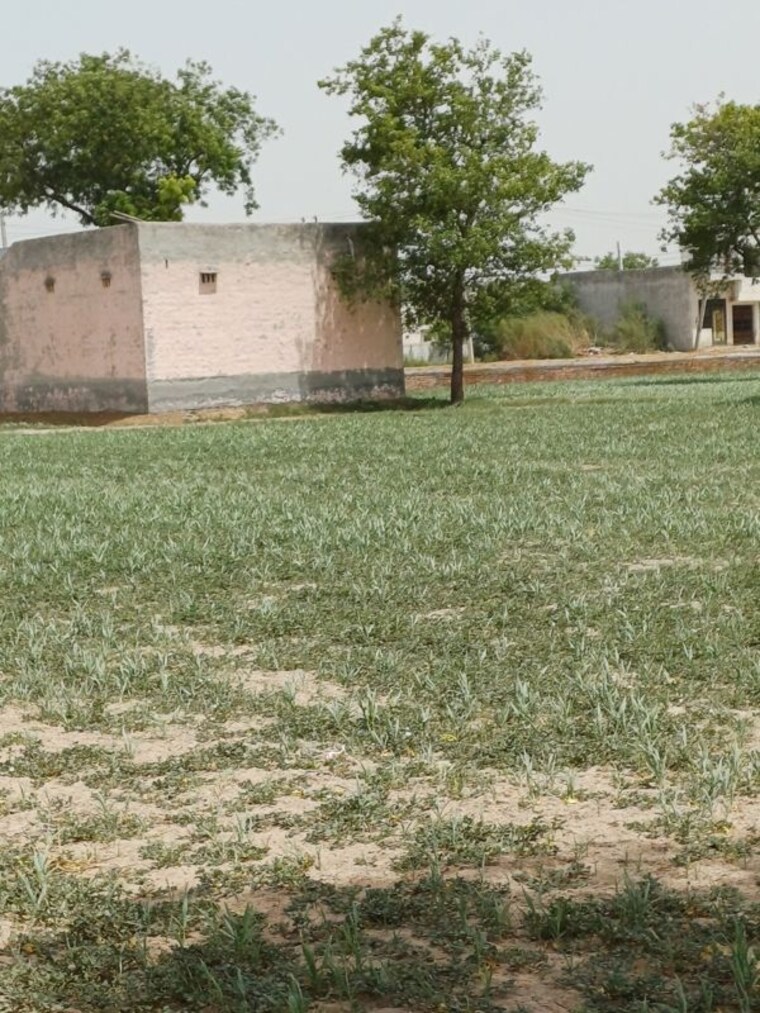 Balcony, kanwara village  52 Sq.Yd. Plot In Kanwara Village Faridabad 10715800