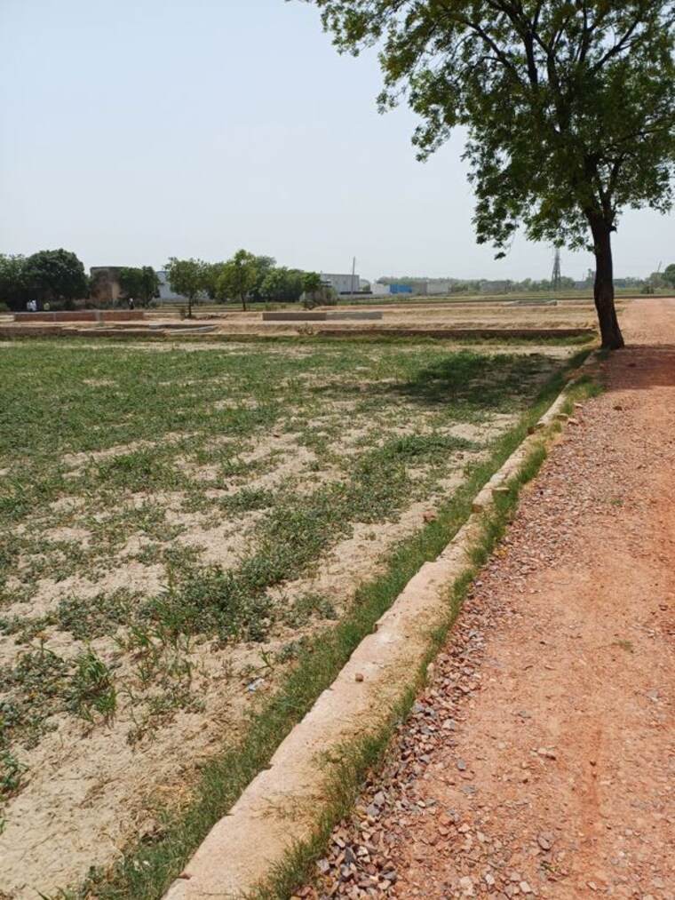 Garden, kanwara village  53 Sq.Yd. Plot In Kanwara Village Faridabad 10715810
