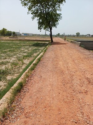 Plot Area in  Plot at Kanwara Village – for Sale