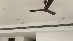 Furnished Amenities in 3 BHK Builder Floor at Sector 23 – for Rent