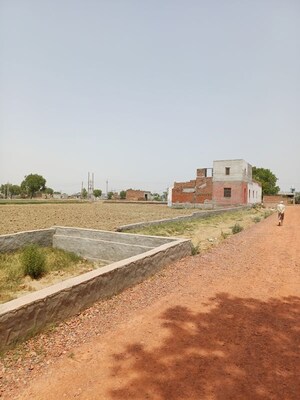  Plot For Sale in Kanwara Village