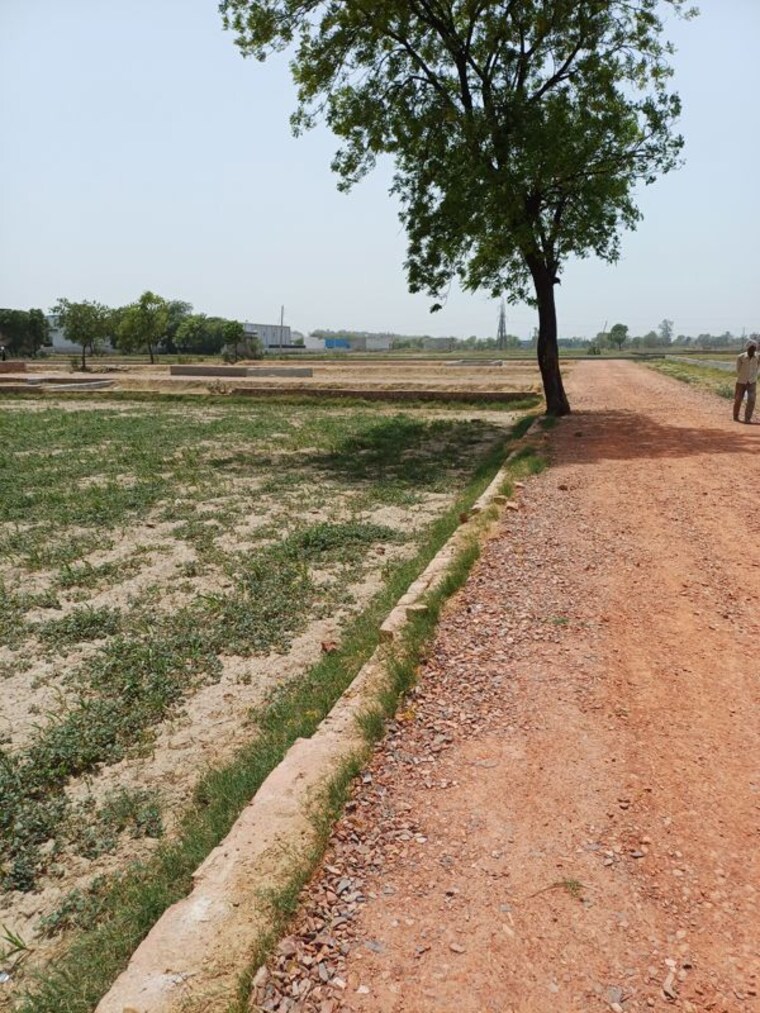 Garden, kanwara village  54 Sq.Yd. Plot In Kanwara Village Faridabad 10715823