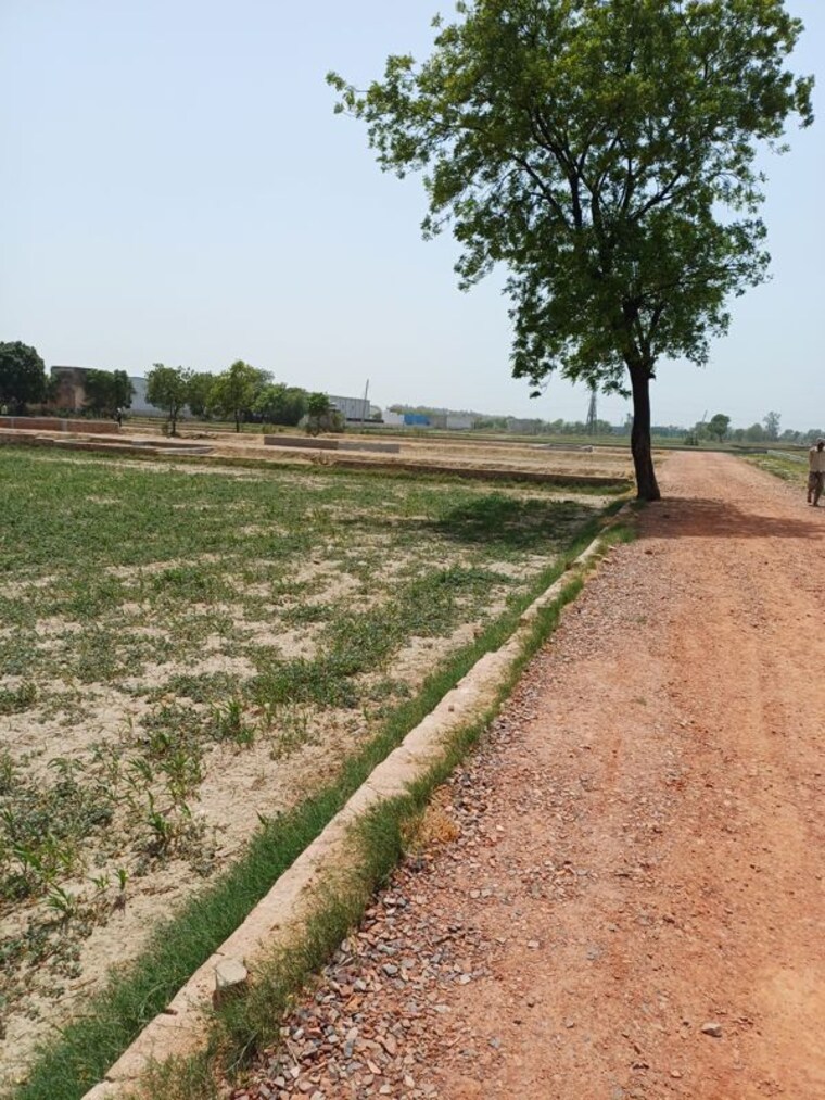 Garden, kanwara village  54 Sq.Yd. Plot In Kanwara Village Faridabad 10715823