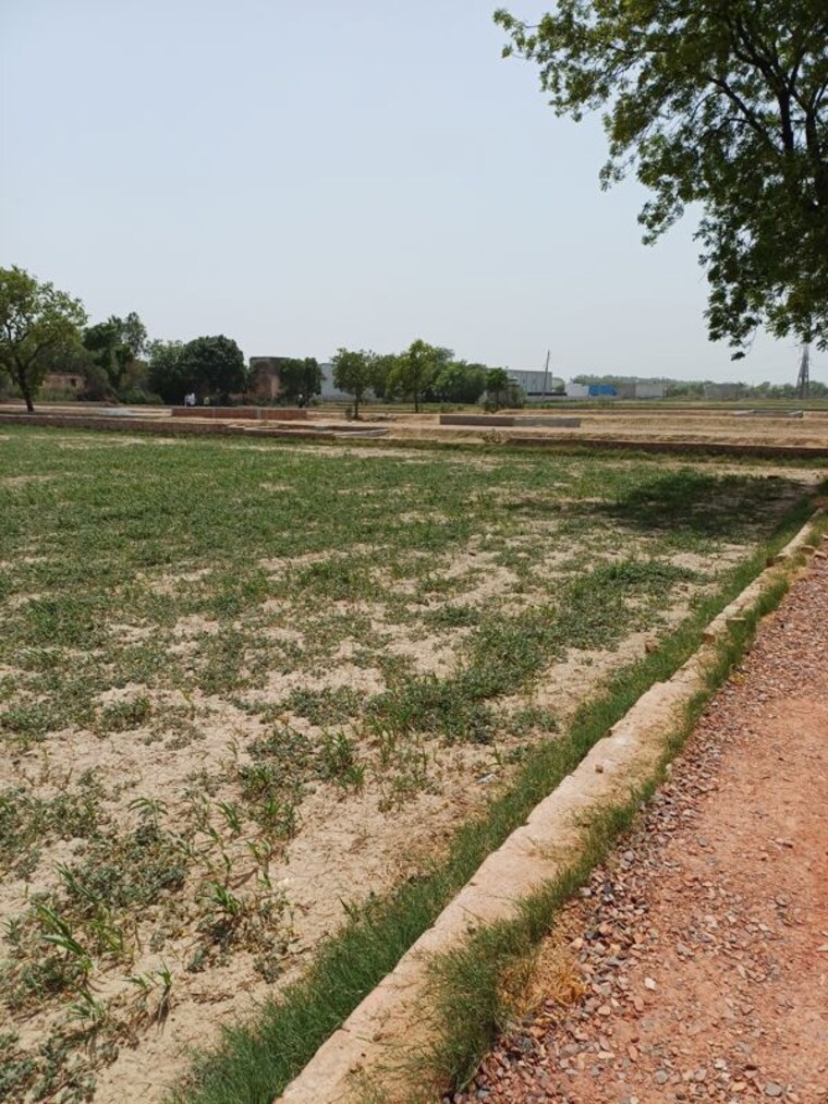 Garden, kanwara village  55 Sq.Yd. Plot In Kanwara Village Faridabad 10715832