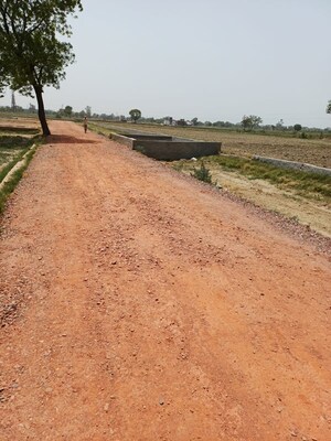 Plot Area in  Plot at Kanwara Village – for Sale