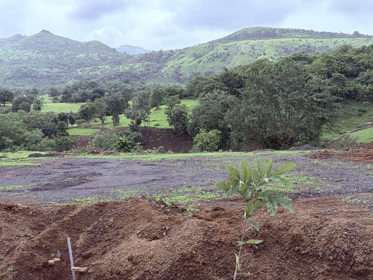 Garden, igatpuri  10890 Sq.Ft. Plot In Igatpuri Nashik 10715833