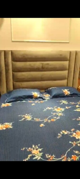 2 BHK Apartment For Rent in Datta Parag Apartment in Andheri West, Mumbai