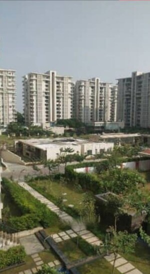 2 BHK Apartment For Rent in Shalimar Gallant, Mahanagar