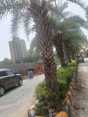  Apartment – Exterior View View at Sector 41 - for Sale