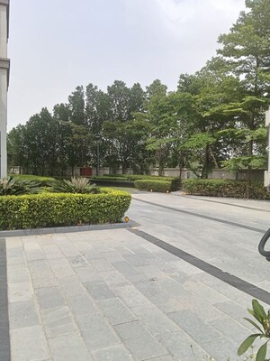  Apartment – Exterior View View at Sector 41 - for Sale
