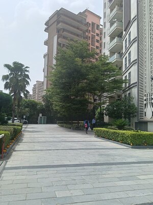  Apartment – Exterior View View at Sector 41 - for Sale