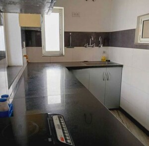 Kitchen in 3 BHK Apartment at Alpha 1 Greater Noida – for Rent