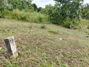 Plot Area in  Plot at BBG True Gold, Shadnagar – for Sale