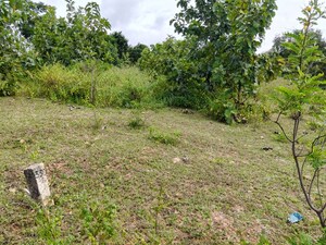 Plot Area in  Plot at BBG True Gold, Shadnagar – for Sale