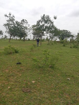 Plot Area in  Plot at BBG True Gold, Shadnagar – for Sale