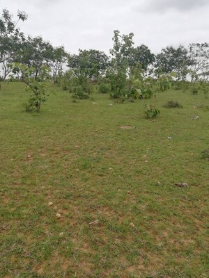 Plot Area in  Plot at BBG True Gold, Shadnagar – for Sale
