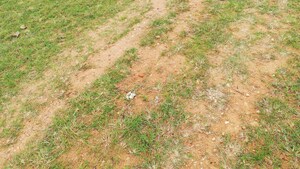  Plot – Garden View at BBG True Gold, Shadnagar - for Sale