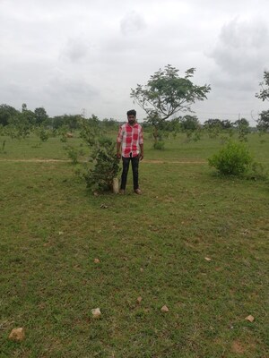  Plot – Garden View at BBG True Gold, Shadnagar - for Sale