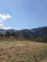 48000 Sq.Ft. Plot in Beolia