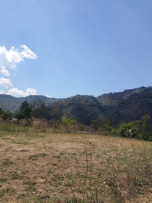  Plot For Sale in Beolia