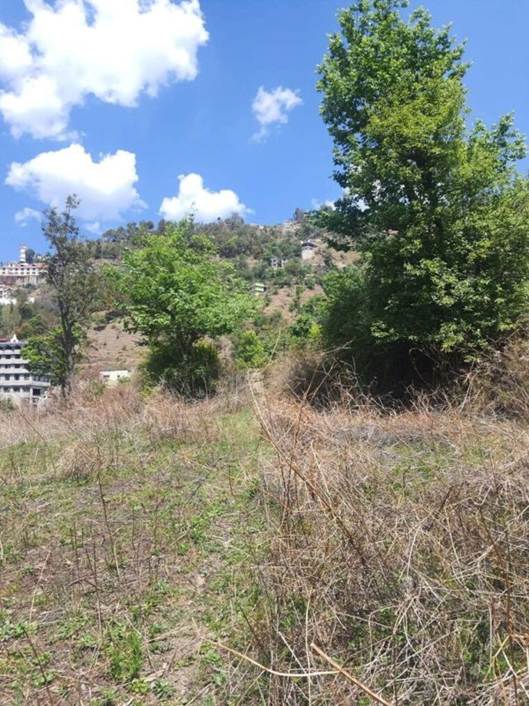 undefined, beolia  48000 Sq.Ft. Plot In Beolia Shimla 10717353