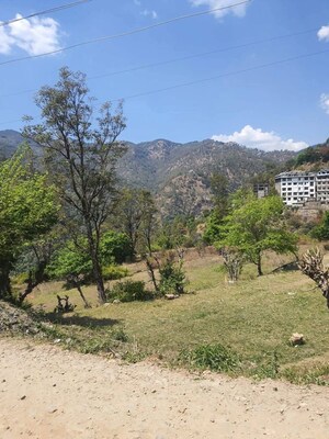 Plot Area in  Plot at Beolia – for Sale