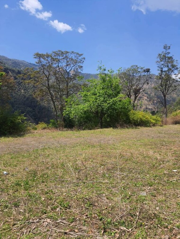 undefined, beolia  48000 Sq.Ft. Plot In Beolia Shimla 10717353