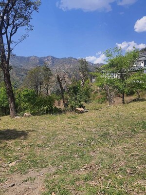 Plot Area in  Plot at Beolia – for Sale