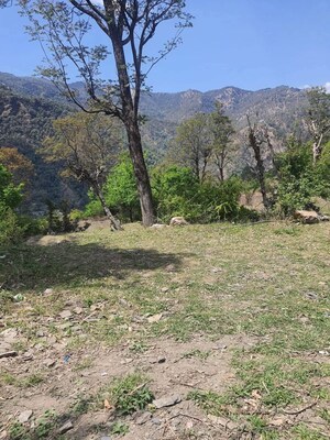Plot Area in  Plot at Beolia – for Sale