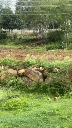  Plot For Sale in Yelagiri