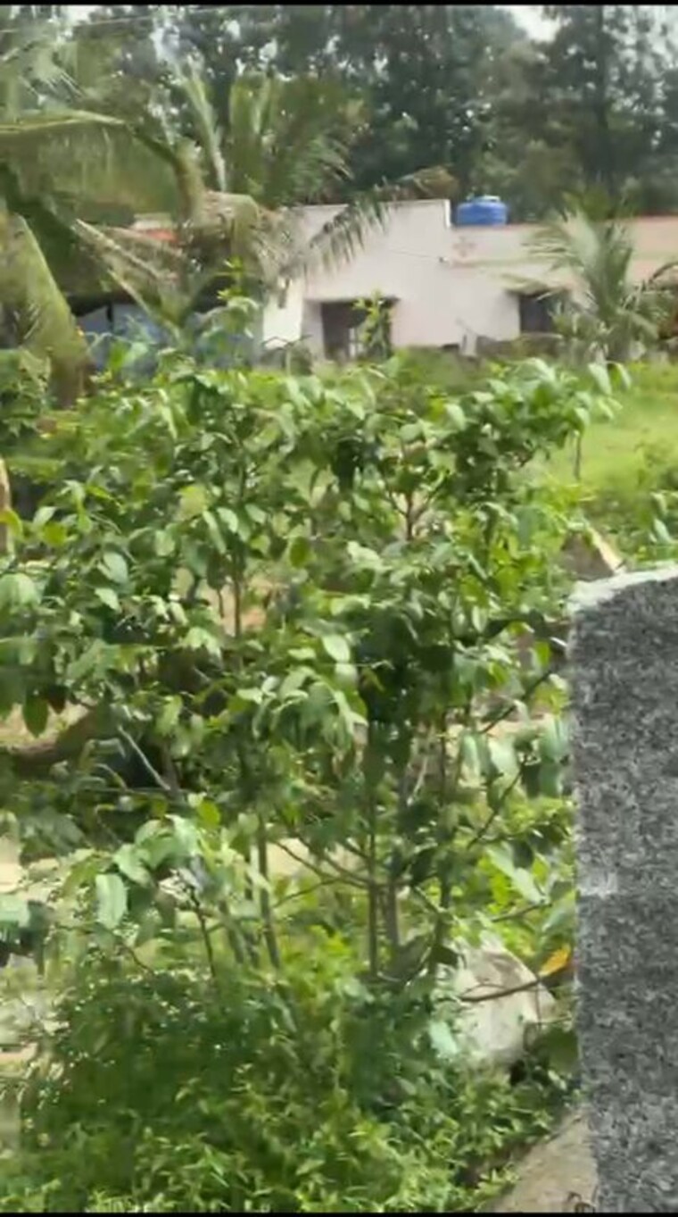 Garden, yelagiri  56600 Sq.Ft. Plot In Yelagiri Vellore 10717453