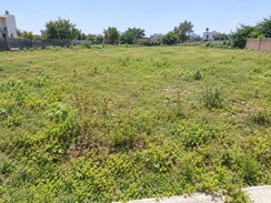 Plot For Sale in Pushpam Lush County