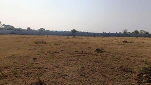 Plot Area in  Plot at Pargi – for Sale