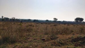 Plot Area in  Plot at Pargi – for Sale