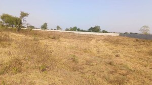 Plot Area in  Plot at Pargi – for Sale
