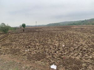 Plot Area in  Plot at Boirdadar – for Sale