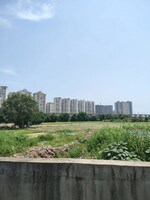 100 Sq.Yd. Plot in Sector 49