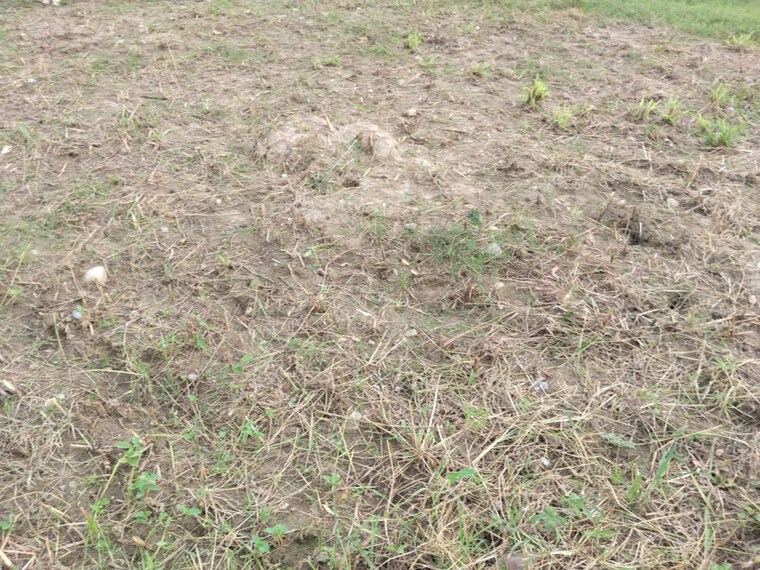 undefined, sherpur  200 Sq.Yd. Plot In Sherpur Dehradun 10717821