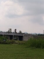 200 Sq.Yd. Plot in Sherpur