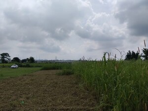 Plot Area in  Plot at Sherpur – for Sale