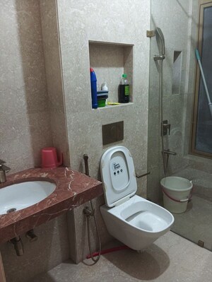 Bathroom in 1 BHK Apartment at Truearth View, Vikhroli East – for Rent