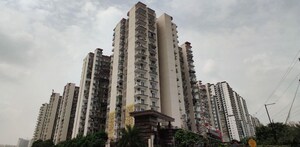3 BHK Apartment For Rent in Fusion Homes, Tech Zone 4 Greater Noida