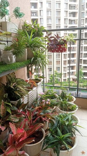 Balcony in  Pg at Vineet Khand – for Rent