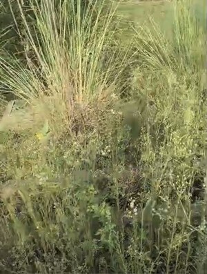 Plot Area in  Plot at Sector 40 – for Sale