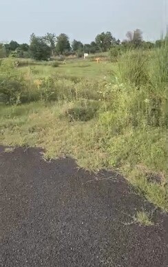 Plot For Sale in Sector 40