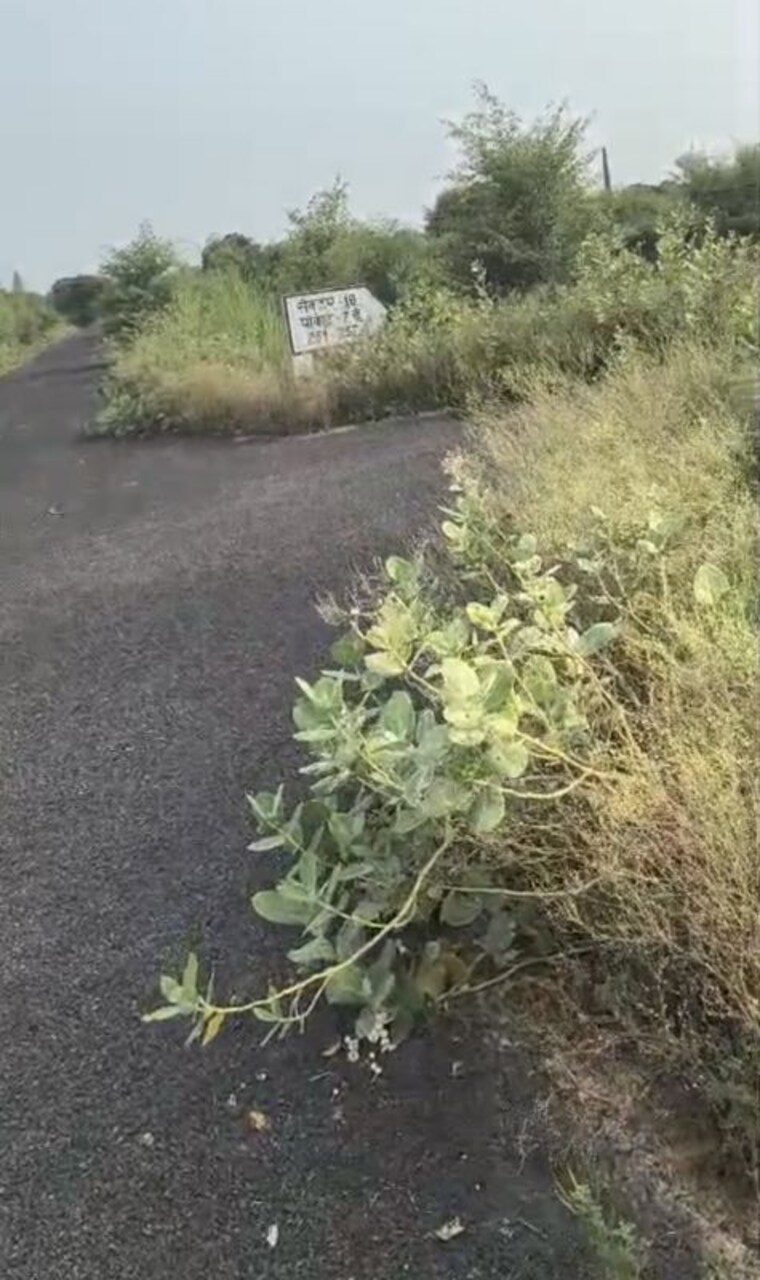 undefined, sector 40  135 Sq.Mt. Plot In Sector 40 Noida 10718070