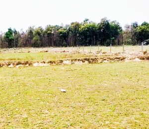 Plot Area in  Plot at Shimla Bypass Road – for Sale
